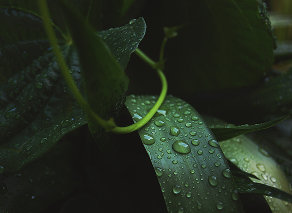 Photo by: Eduardo Jaeger, courtesy unsplash.com Photo by: Eduardo Jaeger, courtesy unsplash.com