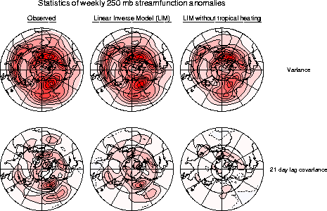 Observed and modeled statistics of weekly 250 hPa streamfunction anomalies