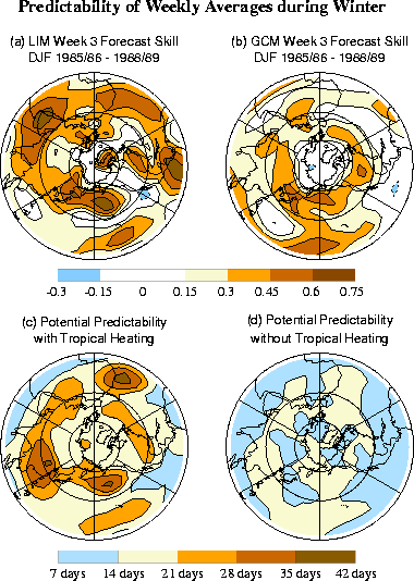 Forecast skill and predictability of weekly averages during winter