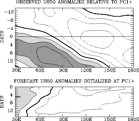 Composite anomalies of 5N-15S averaged 850 mb zonal wind during the MJO