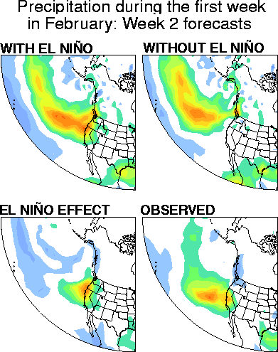 Precipitation during the first week in February 1998: week 2 forecasts