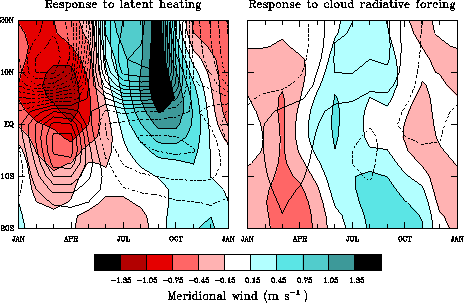 Annual cycle of meridional winds calculated in a linear model