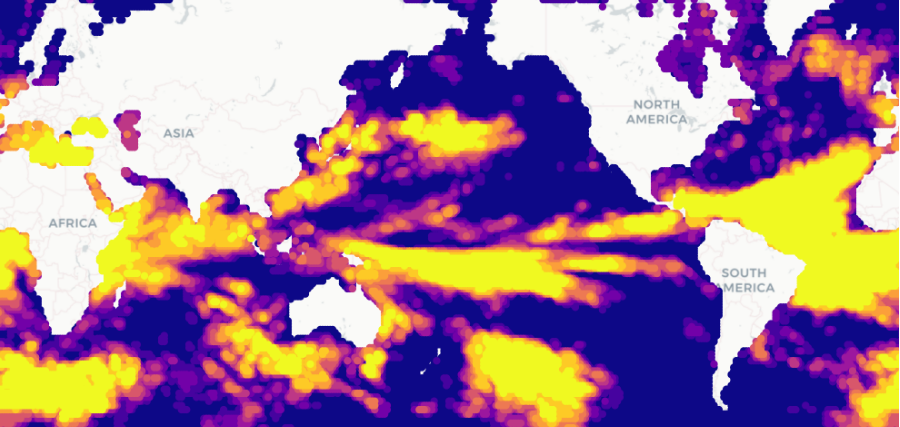 Global map showing marine heatwave probabilities in blue, red, orange, and yellow