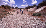 Dry river bed representing drought