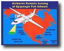 Diagram of FLOE application to airborne remote sensing of epipelagic fish schools throughout North America.